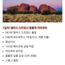 [호주] 앨라호주, 울룰루 3박 4일 락더센터 후기 및 준비물