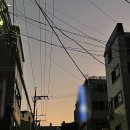 네일이야기 티스토리