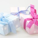 강아지스푼 이미지