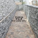 샌드페이버