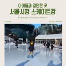 서울시청 스케이트장 후기 및 주차 꿀팁 Feat. 카카오T