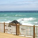 모래밭펜션 이미지