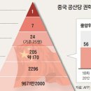 당지 이미지
