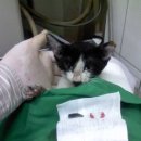 삼창빌딩 이미지