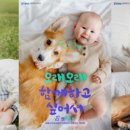 사단법인 한국화재보험협회