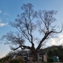 충곡경로당 이미지