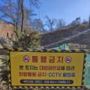 포마자동차디자인미술관 이미지