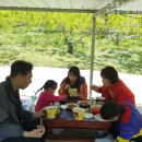 손주들농장 이미지