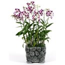 김덕수농장 이미지