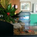 정원카센타 이미지