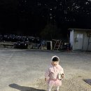 진안1호 | 한화리조트 용인 베잔송 근처 맛집 횡성한우타운 직영1호점 아이랑 가볼만한곳 추천