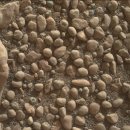 큐리오시티가 포착한 화성 조약돌 이미지