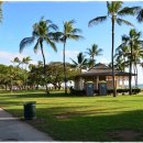 실용영어회화 (초급) 이미지