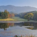 에스엔에스 스크린골프 이미지