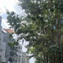 이손약국 이미지