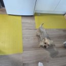 숙성시장길 이미지