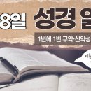 [가톨릭 성경 통독] 1월 8일 성경 읽기 | 요한 복음서 12-13장 ・ 시편 8편 | 이미지