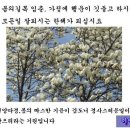 안동 소재 고택의 문설주에 붙은 입춘서들 이미지