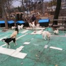 남수농장 이미지