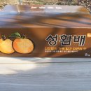 꼬마배 23,000원 부터~ 판매합니다 이미지