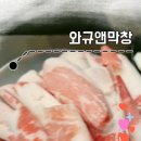 와규앤막창 이미지