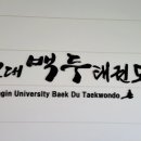 용인대 백두태권도 이미지