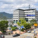 양평군청 본관1층 네이버블로그