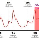 아보카도 효능 부작용 아보카도 칼로리 먹는 법 이미지