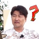 테이즐