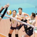 흥국생명 이미지