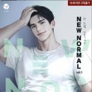 노멀(normal)