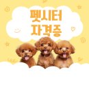 펫시터(반려견) 자격증 과정 이미지