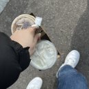 경기도 수원시 팔달구 권광로196번길 21 (인계동) 이미지