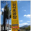 지리산 둘레길 탐방(2~3구간,2011.04.28) 이미지