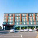 코델리아 이미지