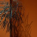 은하수아파트상가 앞 | 신도림역 콘피 분위기 좋은 카페 말차라떼 맛집