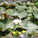 청산마을 이미지