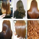 강남-220 이미지