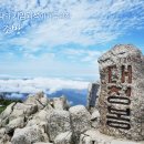 인제관광정보센터 이미지