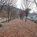 엘림펜션캠핑장 이미지