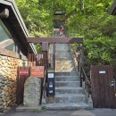 11545-08-00-06 | 설악산 털진달래 산행기