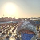 수관농장 | 김제 블루베리 농장 봄 관리 기록 | 꽃눈 발아 시기와 해충 트랩 설치 (온도농장)