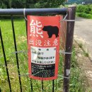 #2 3박4일 오타루/삿포로 여행기(6/10~6/13)