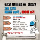 웹사이트 new 오픈 기념 링고부트캠프 21% 할인/ #38기 클래스 오늘 시작합니다. 이미지