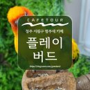 (주)성화이아이 | 청주 이색 카페, 서원구 앵무새 카페 온통새판 [플레이버드]
