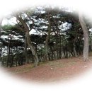 우남사 이미지