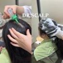 닥터스칼프분당 - 성남시 분당구 돌마로 75 | 분당 전문적인 탈모 관리 닥터스칼프 분당서현점 방문 후기