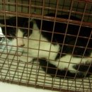 금강 동물병원 이미지