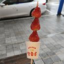 부름코인노래연습장 이미지