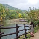 종합운동장 화장실(약수터산책로) 이미지